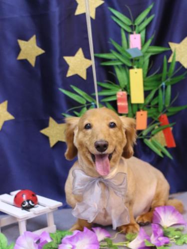 20230719レオンくん